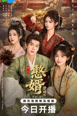 贤婿之憨婿海报